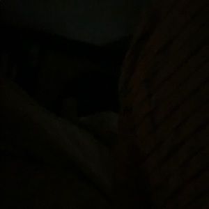 Meet your Posher, Isabelle